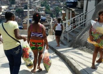 Um ano após sair do Mapa da Fome, o Brasil ainda tem 6,5 milhões de pessoas em insegurança alimentar grave. Especialistas apontam políticas públicas permanentes como chave para manter avanços.