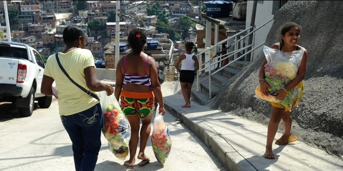 Um ano após sair do Mapa da Fome, o Brasil ainda tem 6,5 milhões de pessoas em insegurança alimentar grave. Especialistas apontam políticas públicas permanentes como chave para manter avanços.
