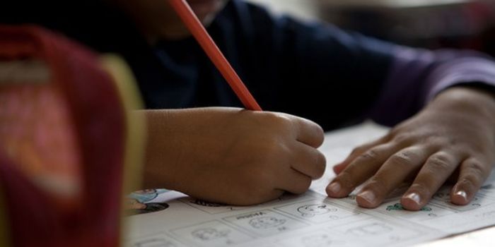 Primeiro semestre de 2026 teve avanços na educação com aprovação do novo PNE, expansão das universidades e valorização dos professores.