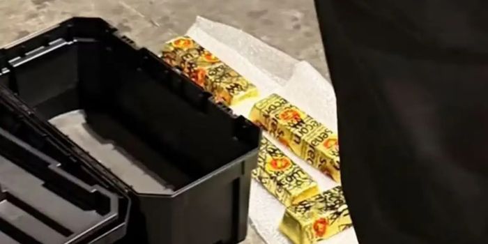 Polícia da Bolívia apreende 189,5 kg de ouro em jatinho ligado a empresário brasileiro. Grupo Dallas nega envolvimento e diz colaborar com as investigações.