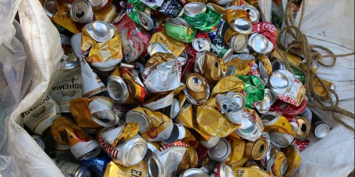 Pesquisa revela baixo conhecimento sobre economia circular no Brasil, mas aponta avanço na disposição da população em reciclar e adotar hábitos mais sustentáveis.