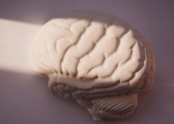 Estudo na Nature revela que organoides cerebrais reproduzem aspectos do cérebro real, mas apresentam alterações no ritmo do desenvolvimento.