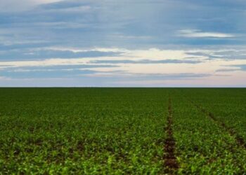 Senado aprova o Profert, programa que prevê incentivos fiscais para ampliar a produção nacional de fertilizantes e reduzir importações.