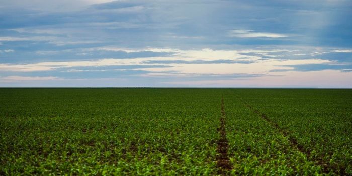 Senado aprova o Profert, programa que prevê incentivos fiscais para ampliar a produção nacional de fertilizantes e reduzir importações.
