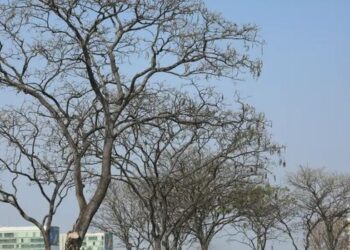 Inmet emite alertas para baixa umidade e tempestades nesta sexta-feira (14) em diferentes regiões do Brasil.