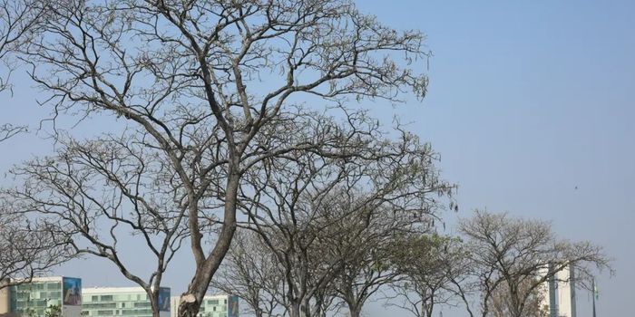 Inmet emite alertas para baixa umidade e tempestades nesta sexta-feira (14) em diferentes regiões do Brasil.