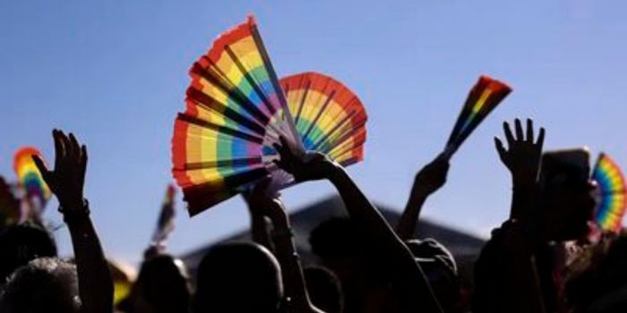 Conheça os canais oficiais para denunciar casos de LGBTQIAfobia e outras violações de direitos humanos em todo o Brasil.
