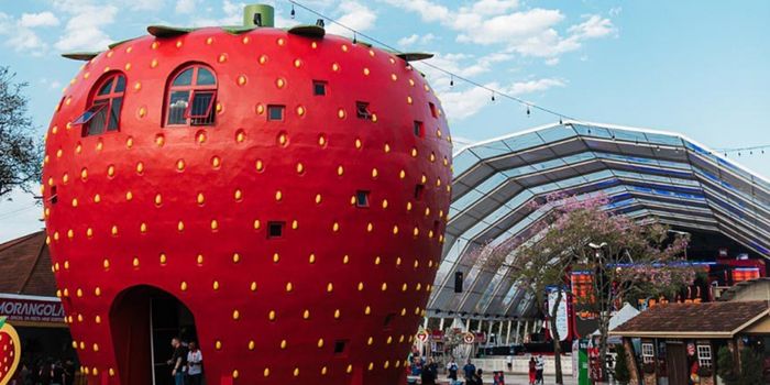 Lei sancionada cria a Rota Turística Vale da Felicidade e impulsiona o turismo em 20 municípios do Rio Grande do Sul.