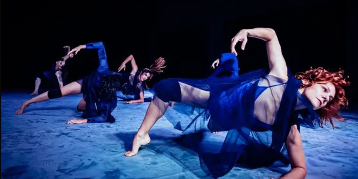 Festival Dança em Trânsito reúne artistas brasileiros e internacionais no Rio com espetáculos, oficinas e apresentações gratuitas.