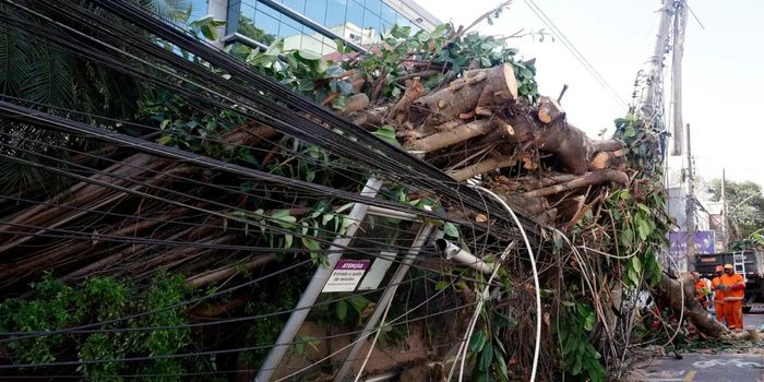 Eventos climáticos extremos pressionam distribuidoras de energia, que ampliam investimentos em redes inteligentes e planos de contingência.