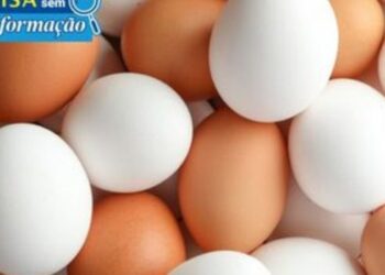 Anvisa esclarece que não há ovos de plástico ou petróleo no Brasil e reforça cuidados para armazenamento e consumo do alimento.