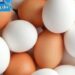 Anvisa esclarece que não há ovos de plástico ou petróleo no Brasil e reforça cuidados para armazenamento e consumo do alimento.