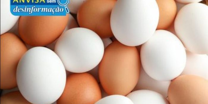Anvisa esclarece que não há ovos de plástico ou petróleo no Brasil e reforça cuidados para armazenamento e consumo do alimento.