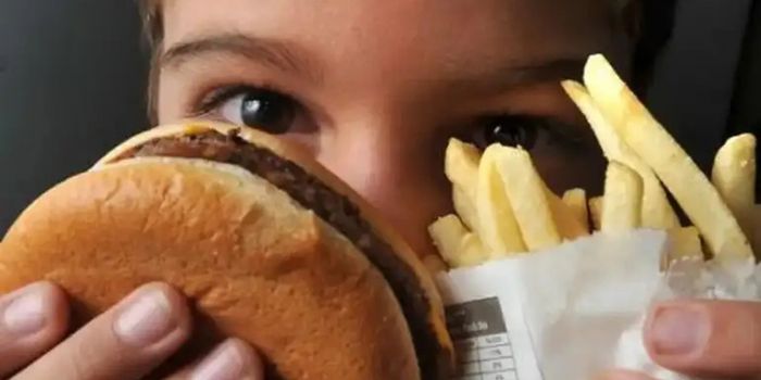 Colesterol elevado pode aparecer na infância; especialistas reforçam exames, hábitos saudáveis e tratamento para prevenir riscos cardiovasculares.