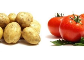 Cesta básica ficou mais barata em 26 capitais em julho, segundo Conab e Dieese. Veja os preços e os alimentos que mais caíram.