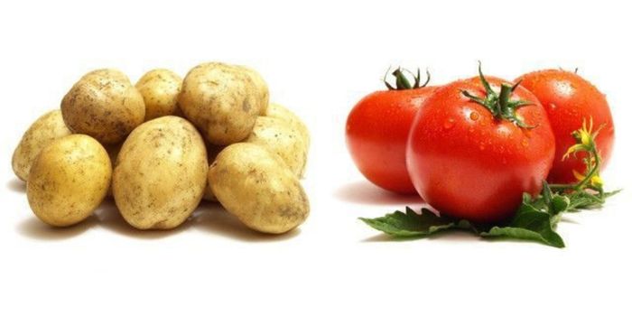 Cesta básica ficou mais barata em 26 capitais em julho, segundo Conab e Dieese. Veja os preços e os alimentos que mais caíram.
