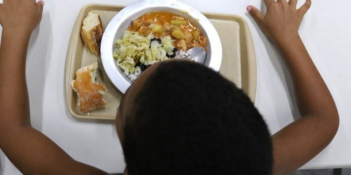 Governo federal libera quase R$ 925 milhões para segurança alimentar e combate à fome de populações afetadas por eventos climáticos.