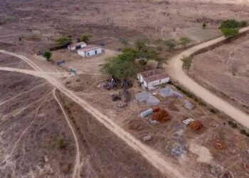 Desertificação ameaça cerca de 39 milhões de brasileiros e exige ações de recuperação do solo, preservação ambiental e adaptação climática.