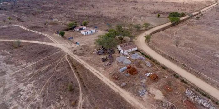Desertificação ameaça cerca de 39 milhões de brasileiros e exige ações de recuperação do solo, preservação ambiental e adaptação climática.