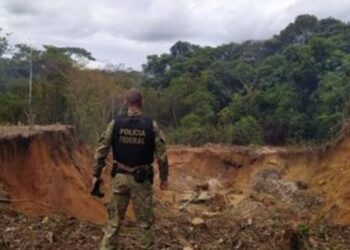 PF e ICMBio realizam operação contra garimpo ilegal no Parque Nacional Mapinguari e desativam estruturas usadas em crimes ambientais.