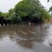 Governo federal reconhece situação de emergência em 19 municípios do RS afetados por chuvas, enxurradas, tornado, vendavais e granizo.