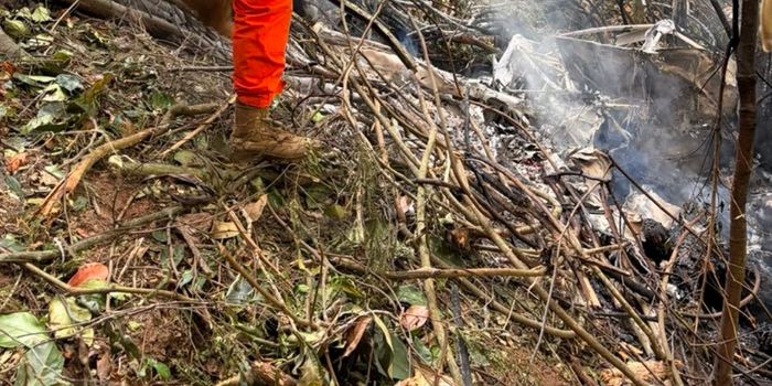 Quatro pessoas morreram na queda de um helicóptero no Rio. Entre as vítimas estão três turistas colombianas da mesma família.