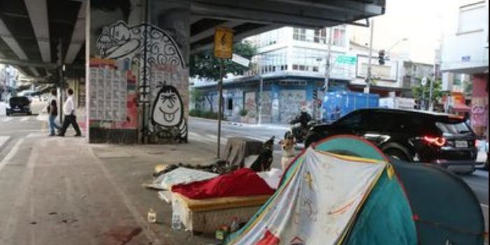 Profissionais do Disque 100 participam de capacitação para aprimorar atendimento e fortalecer a defesa dos direitos humanos.