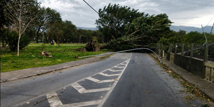 Frente fria muda o tempo em São Paulo com chuva e ventos de até 50 km/h entre sexta e sábado.