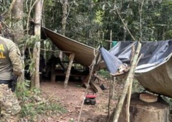Operação da PF combate extração ilegal de madeira na Terra Indígena Rio Mequéns, em Rondônia, e inutiliza duas serrarias móveis.