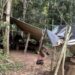 Operação da PF combate extração ilegal de madeira na Terra Indígena Rio Mequéns, em Rondônia, e inutiliza duas serrarias móveis.