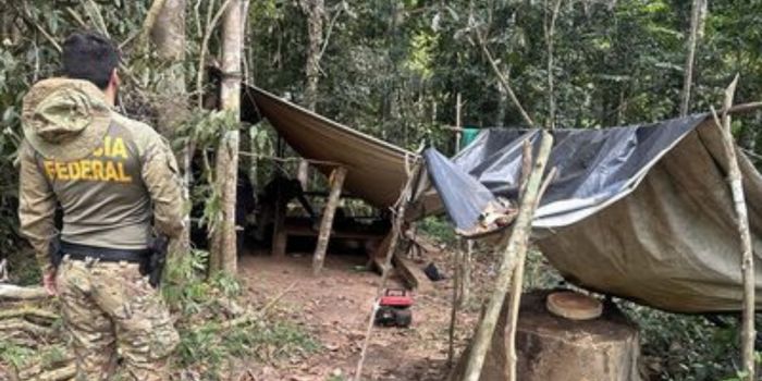 Operação da PF combate extração ilegal de madeira na Terra Indígena Rio Mequéns, em Rondônia, e inutiliza duas serrarias móveis.