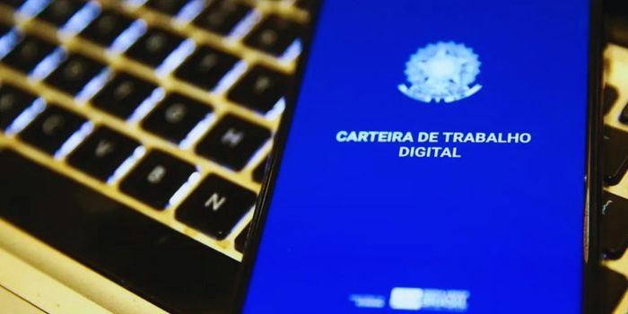 Desemprego cai para 5,3% no Brasil no trimestre encerrado em julho, enquanto emprego com carteira e população ocupada batem recorde.