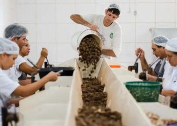 Consulta pública do Mdic recebe até 2 de setembro sugestões de produtos sustentáveis do Mercosul com potencial de acesso ao mercado europeu.