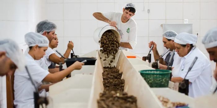 Consulta pública do Mdic recebe até 2 de setembro sugestões de produtos sustentáveis do Mercosul com potencial de acesso ao mercado europeu.