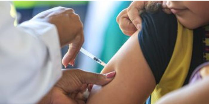 Dia D da Multivacinação ocorre neste sábado (22) para atualizar a vacinação de menores de 15 anos em todo o Brasil.