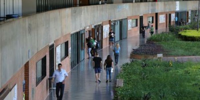 MEC cria selo para reconhecer instituições públicas de ensino que adotem ações de prevenção e combate à violência contra meninas e mulheres.