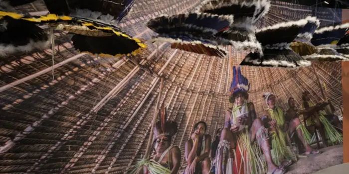 Mostra reúne fotografias, relatos e objetos dos povos Katxuyana e Kahyana e resgata décadas de resistência no Pará.