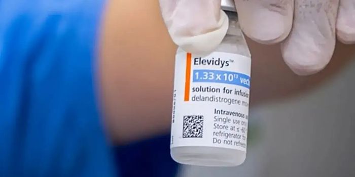 Anvisa cancela registro condicional do Elevidys, usado no tratamento da distrofia muscular de Duchenne, após pedido da Roche.