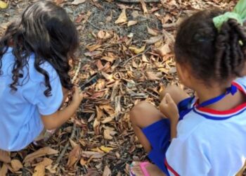 Formação em Vitória reúne 35 educadoras no Parque da Fonte Grande para aproximar crianças, natureza e educação ambiental.