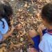 Formação em Vitória reúne 35 educadoras no Parque da Fonte Grande para aproximar crianças, natureza e educação ambiental.