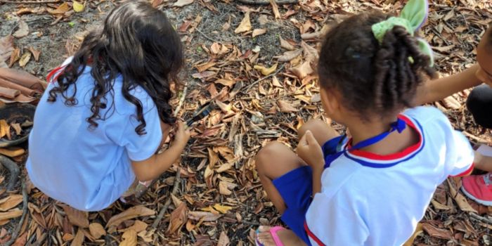 Formação em Vitória reúne 35 educadoras no Parque da Fonte Grande para aproximar crianças, natureza e educação ambiental.