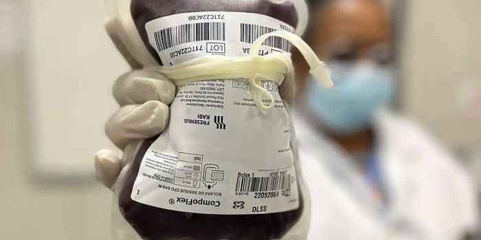 Junho passa a integrar o calendário de incentivo à doação de sangue, com campanhas educativas e iluminação de prédios públicos em vermelho.