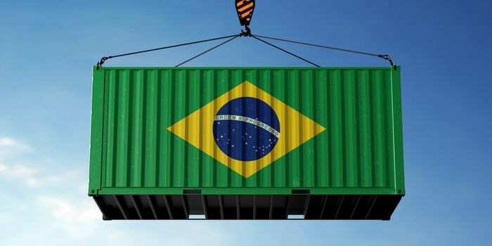 Missão da ApexBrasil leva empresas brasileiras a quatro países africanos para ampliar exportações e buscar novos negócios no continente.