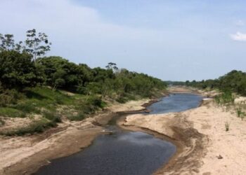 El Niño pode ganhar força entre 2026 e 2027 e afetar a produção mundial de café, cacau e açúcar, com riscos também para o Brasil.