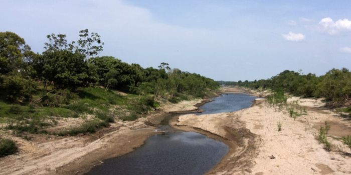 El Niño pode ganhar força entre 2026 e 2027 e afetar a produção mundial de café, cacau e açúcar, com riscos também para o Brasil.