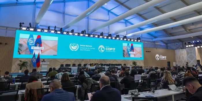 COP17 entra na última semana na Mongólia com foco em financiamento para combater a desertificação, recuperar solos e enfrentar períodos de seca.