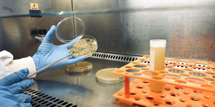Mercado brasileiro de bioinsumos movimentou R$ 7 bilhões em 2025 e pode alcançar R$ 10 bilhões até 2030, impulsionado pela agricultura sustentável.