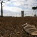 Região Sul segue com risco de tempestades e granizo, enquanto outras áreas do Brasil terão calor intenso e tempo seco nos próximos dias.