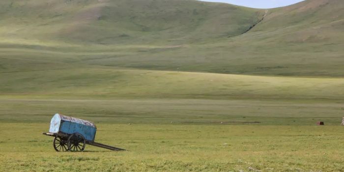Secas, desertificação e eventos climáticos extremos ameaçam o nomadismo e a criação de animais nas estepes da Mongólia.