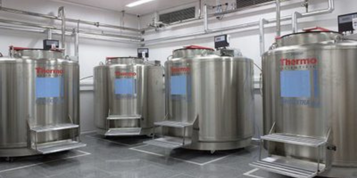 Ministério da Saúde cria rede nacional para integrar biobancos e ampliar pesquisas no SUS